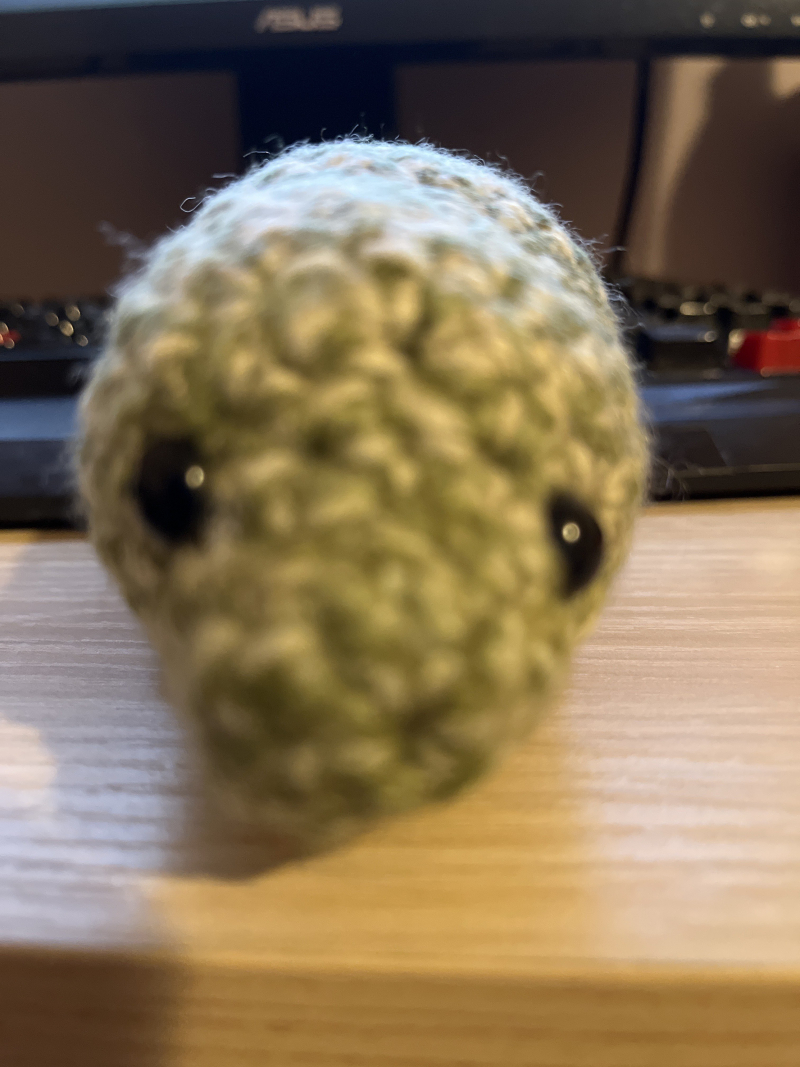 a plush dinosaur with lopsided, beady, black eyes. it is crocheted out of green-and-biege yarn. its nose is so close to the camera that its face is unfocused and blurry.